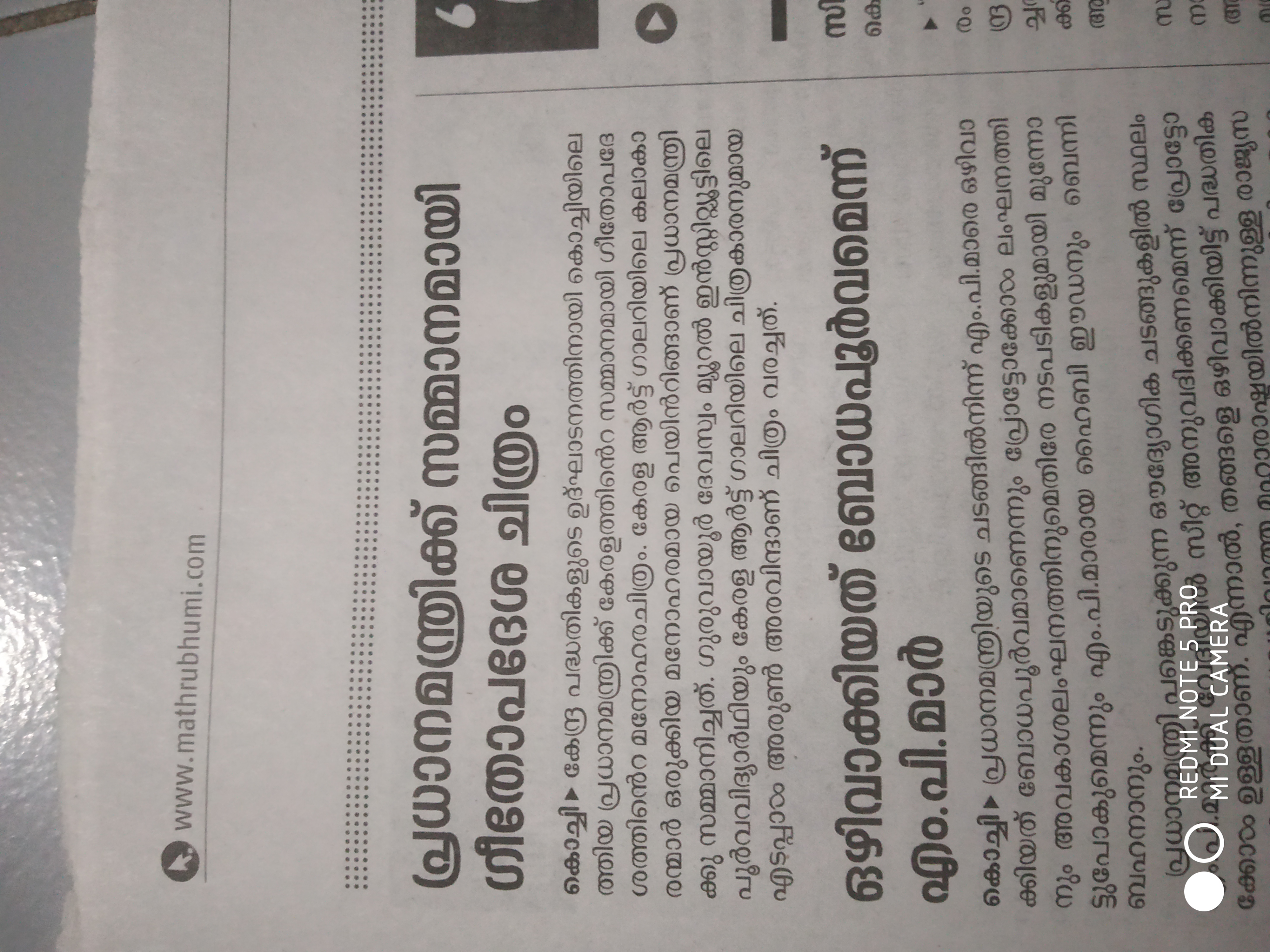 Kerala Art Gallery Presents 'Geethopadesham' to the Prime Minister